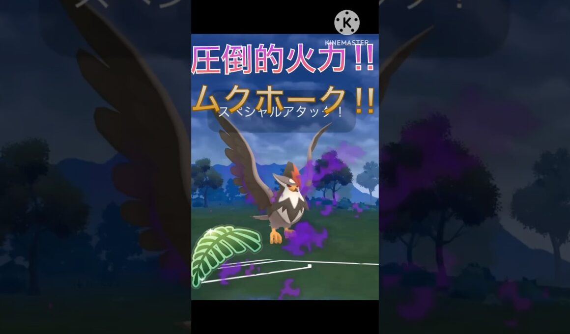 圧倒的な火力‼︎ ジャングルカップでもムクホークが最強‼︎ #ポケモンgo #goバトル #goバトルリーグ #gbl