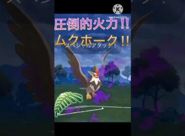 圧倒的な火力‼︎ ジャングルカップでもムクホークが最強‼︎ #ポケモンgo #goバトル #goバトルリーグ #gbl