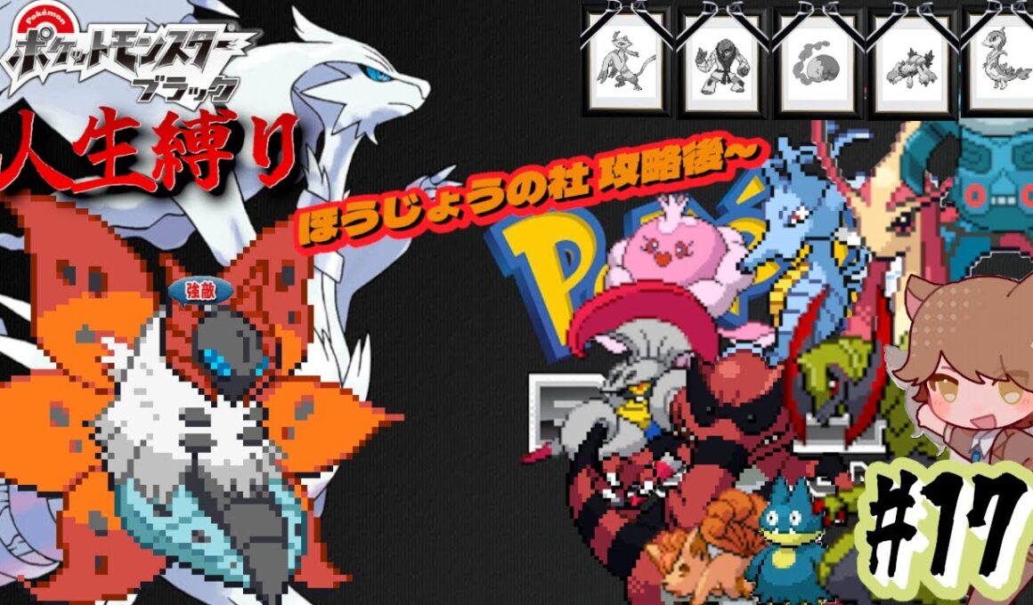 【ポケモンBW 人生縛り】焔蝶「ポケットモンスター ブラック/ホワイト」#17《初見歓迎》