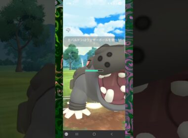 #こおりのキバが刺さりすぎるカバルドン！