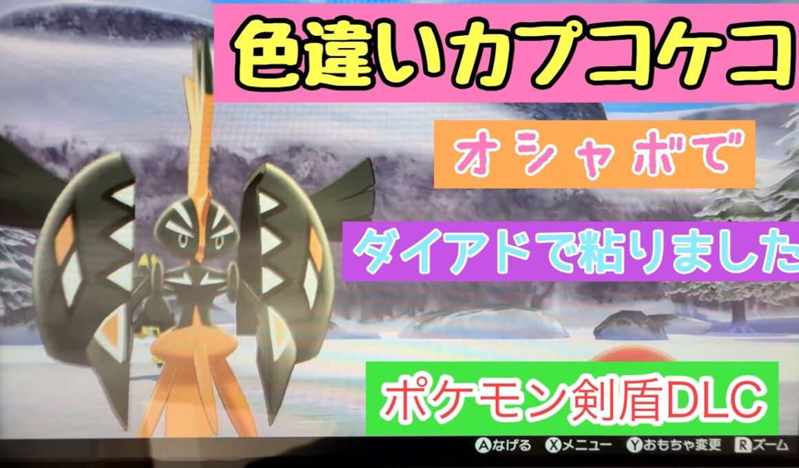 ダイマックスアドベンチャーで色違いカプコケコオシャボで粘りました。【ポケモン剣盾】【直撮り】【ダイマックスアドベンチャー】