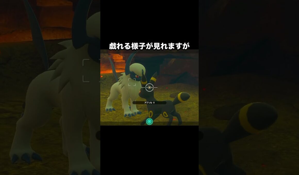 ブラッキーとアブソルと戯れ #newポケモンスナップ #ポケモン