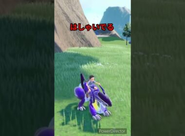 【ポケモンバイオレット】はしゃいでるイワンコが走ってきた　#ポケモンバイオレット #ゲームリハビリ #shorts
