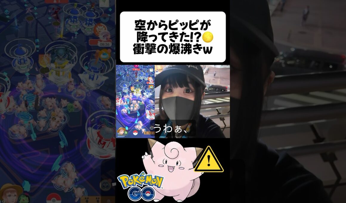 ピッピが空から降ってきた!? 5分間の奇跡🌕
