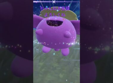 色違いハネッコ進化 #ポケモン #ポケモンsv #色違いポケモン