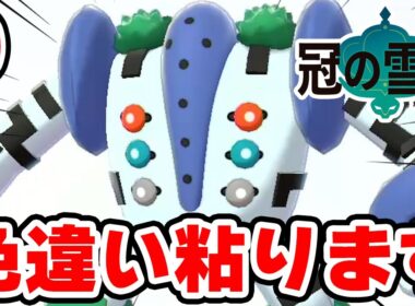 色違いレジギガスを狙う男 9【ポケモン剣盾】