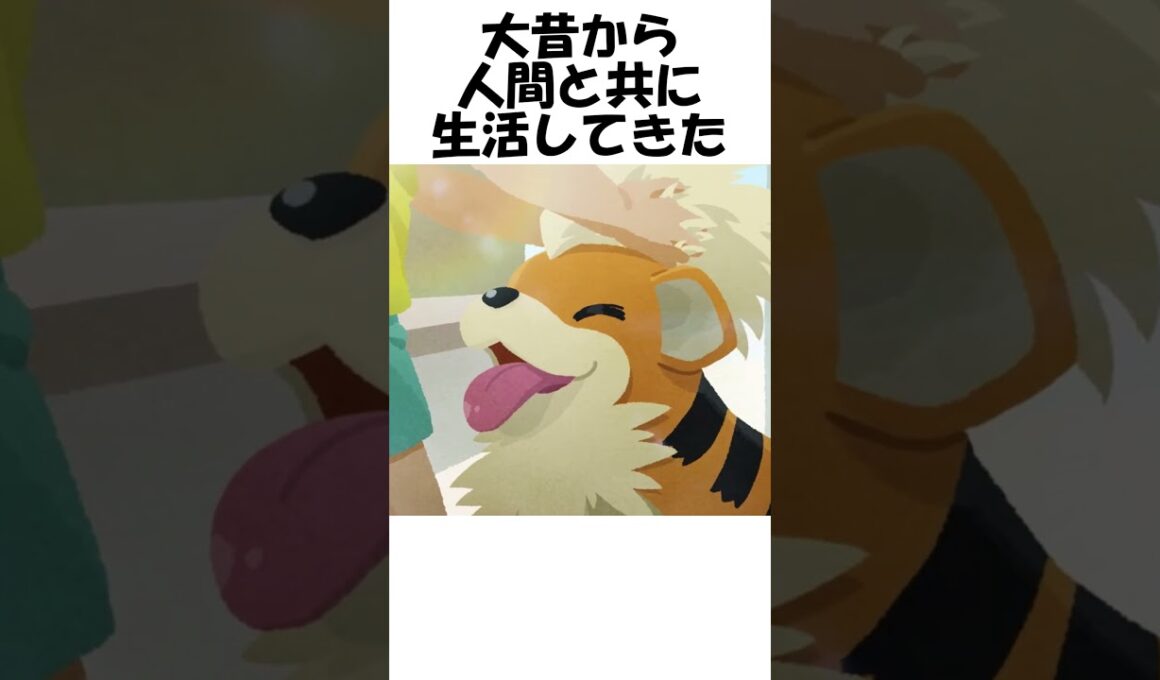 【ポケモン】ガディ公 #shorts