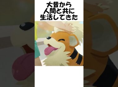 【ポケモン】ガディ公 #shorts