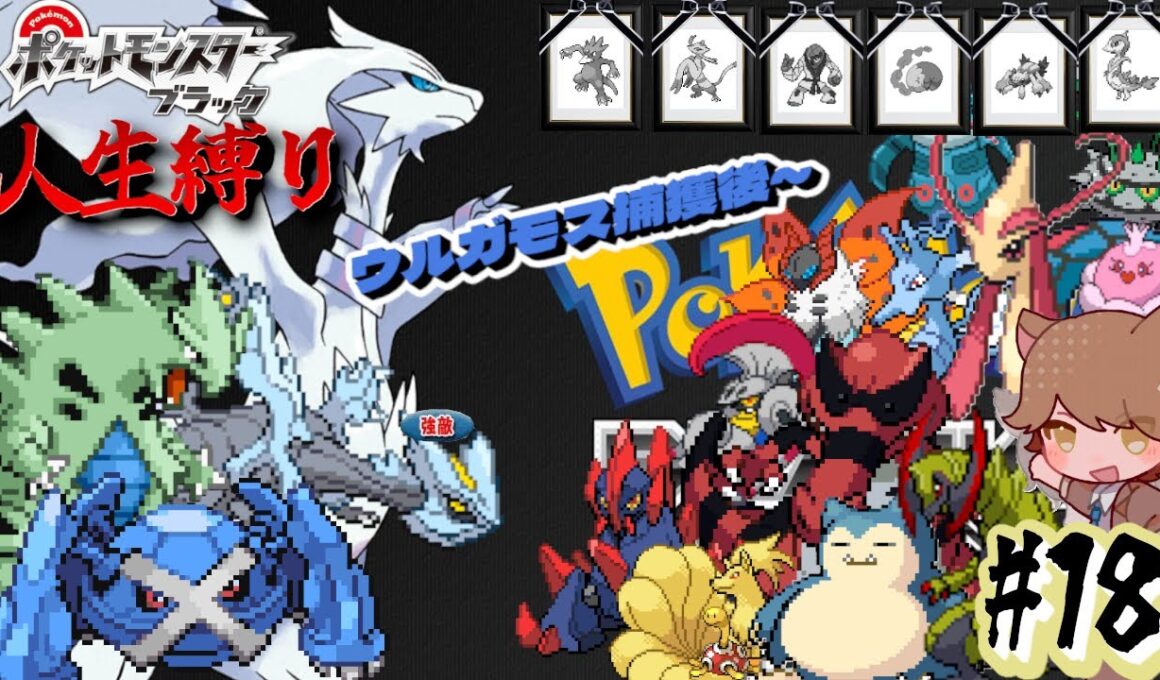 【ポケモンBW 人生縛り】立入禁止区域の化け物「ポケットモンスター ブラック/ホワイト」#18《初見歓迎》