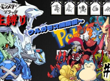 【ポケモンBW 人生縛り】立入禁止区域の化け物「ポケットモンスター ブラック/ホワイト」#18《初見歓迎》