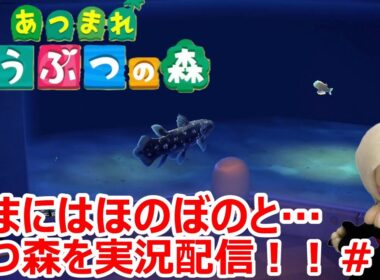 【あつまれどうぶつの森】たまにはほのぼのと…あつ森を実況配信！！＃２