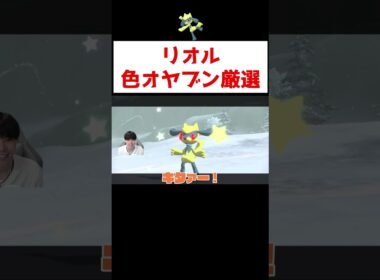 リオル色オヤブン厳選 #ゲーム実況 #shorts #ポケモン #ポケモンSV #レジェアル #色違い #厳選 #za #リオル #ルカリオ