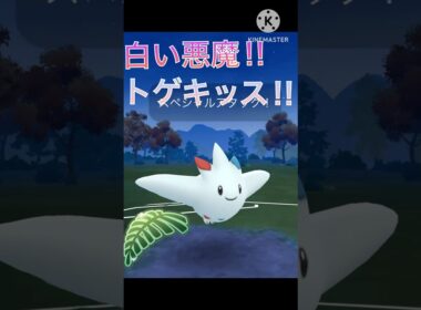 最強の白い悪魔‼︎ トゲキッスがジャングルカップで無双‼︎ #ポケモンgo #goバトル #goバトルリーグ #gbl