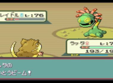 【ポケモンエメラルド】ラッタ一匹でクリアする　part20　VS　ダイゴ（チャレンジ）