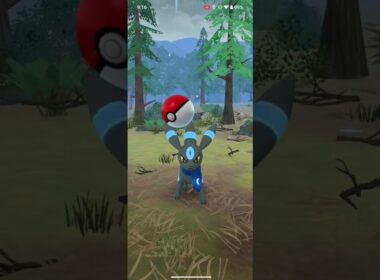【ポケモンgo】すかーふぶらぶらぶらっきー #ポケモン #ポケモンgo #ブラッキー #色違い #かわいい