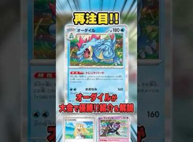 まさかの復権！オーダイルが新環境の大会で優勝して過去の輝きを取り戻しつつあるので紹介&解説♪【シティリーグ2026S1】