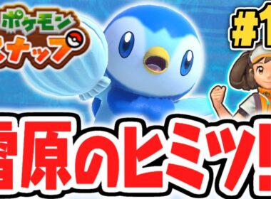 新エリアの雪原を大冒険!!ポッチャマが可愛すぎる!!ポケスナ最速実況Part13【New ポケモンスナップ】