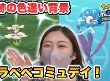 【ポケモンGO】フラベベ色違い全力捕獲！まさかの最後に神引き！？【コミュニティデイ】