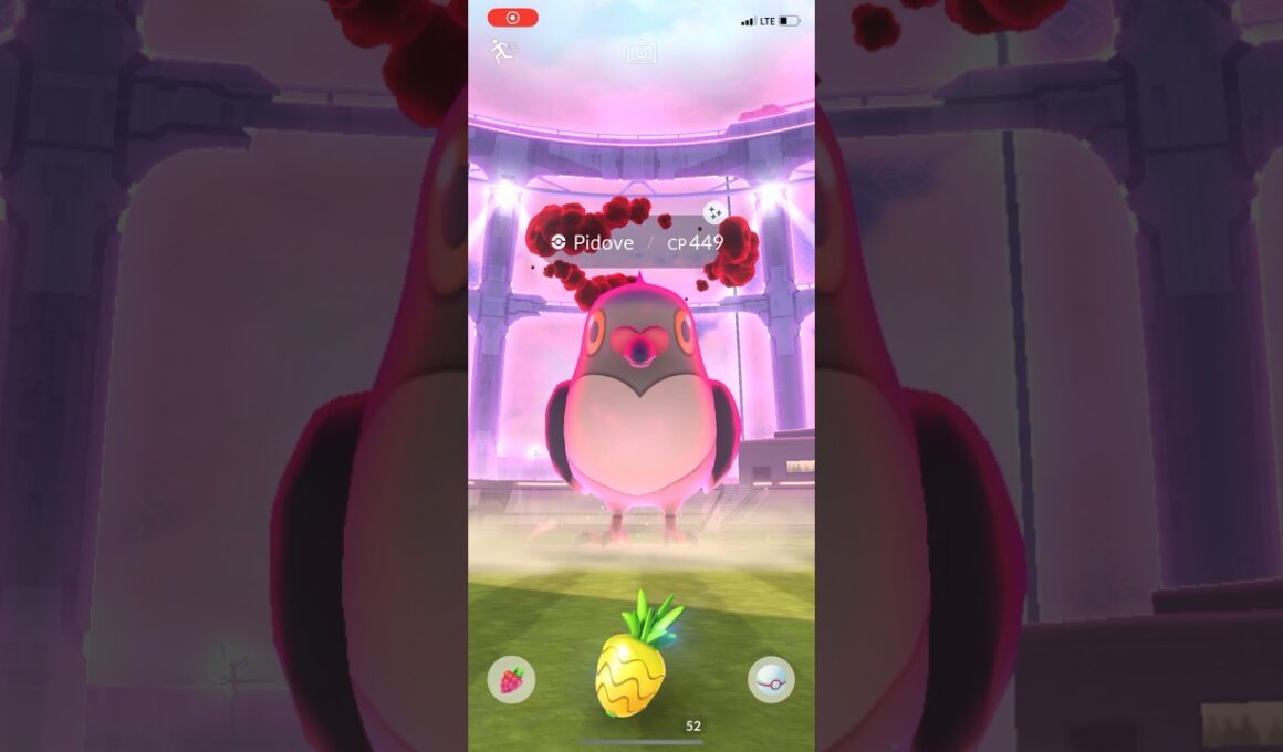 Pokémon GO - Shiny Dynamax Pidove