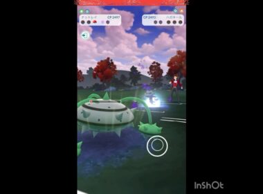 ナットレイの耐久に脱帽🎩