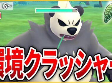 【ジャングルカップ】環境で唯一の格闘枠「ゴロンダ」を試してみる！