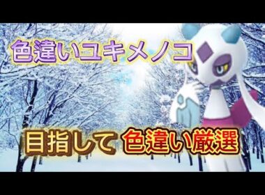 【ポケモンSV】初の色違い厳選実況!!目指すはユキメノコ！#ポケモンsv #色違い厳選