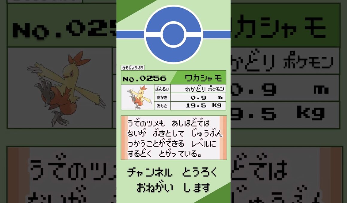 ポケモン　1分紹介　ワカシャモ編 #shorts #ゆっくり解説 #ポケモン