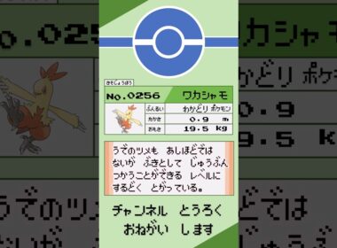 ポケモン　1分紹介　ワカシャモ編 #shorts #ゆっくり解説 #ポケモン