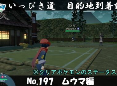 【いっぴき道攻略】No.197 ムウマ編【Pokémon LEGENDS アルセウス】