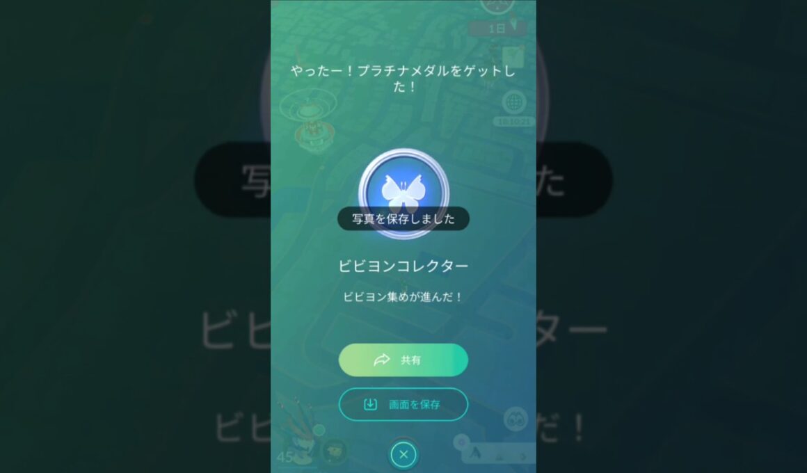 やっとビビヨンコンプ！そして滑り込みTL45！