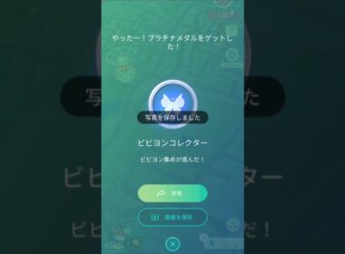 やっとビビヨンコンプ！そして滑り込みTL45！