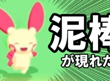 プラスルのこと舐めてました。【ポケモンスリープ】