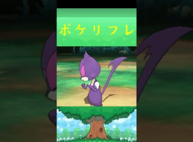 チョロネコ*ポケモン ポケリフレ ポケパルレ #ポケモン #Pokemon  #3DS #nintendoswitch #ポケモンsv #ポケモン #キャンプ #サンドイッチ #ピクニック