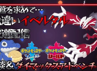 【雑談&色厳選】Z-A発売まで残り９日！追い込み色違いイベルタル厳選！《ポケモン剣盾》#13