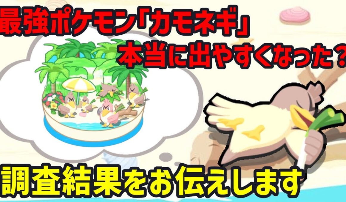 カモネギが期間限定で出現しやすくなると噂されていた件についての結論と今後の対策をお話しします
