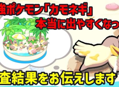 カモネギが期間限定で出現しやすくなると噂されていた件についての結論と今後の対策をお話しします