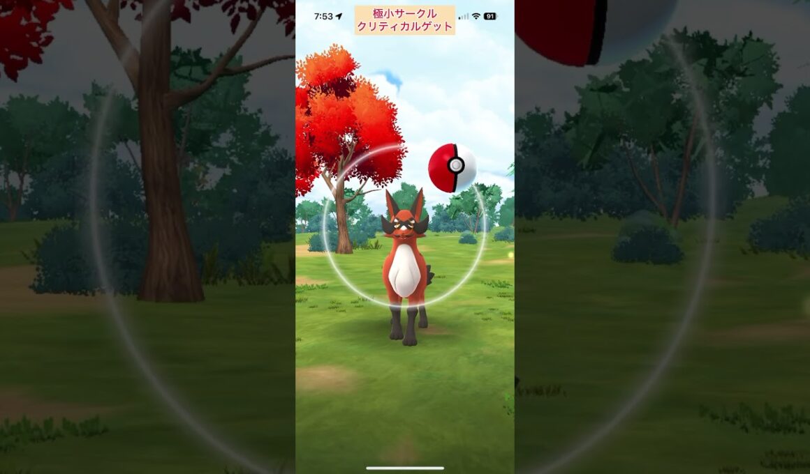 【難易度低】フォクスライ極小サークルクリティカルゲット【ポケモンGO】