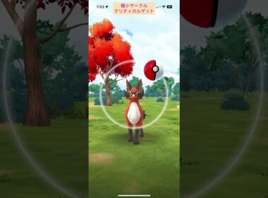 【難易度低】フォクスライ極小サークルクリティカルゲット【ポケモンGO】