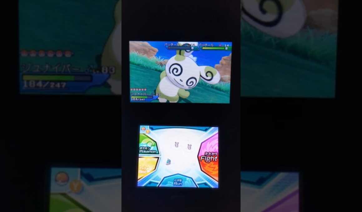 色違いパッチール #ポケモン