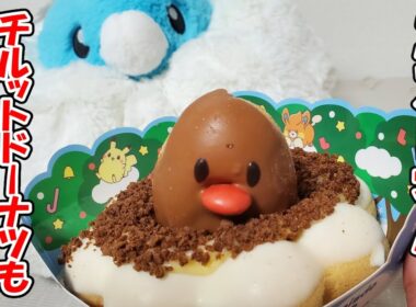 【ポケモン剣盾】ミスタードーナツさん、チルットドーナツも出してください Part6 #ポケモン剣盾