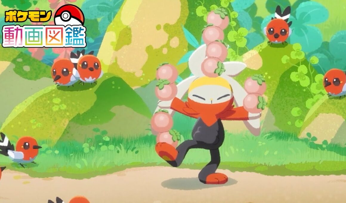 【公式】「ポケモン動画図鑑」No.0814 ラビフット