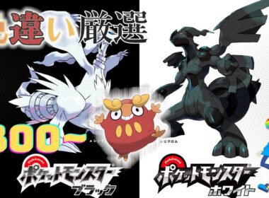 【ポケモンBW】4番道路(Shiny Pokémon)厳選(3800~)