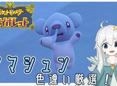 【ポケモンSV】クマシュンの色違い探し配信！【初見歓迎・参加可能】