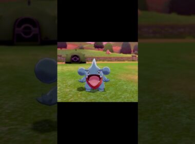 駆け寄ってくるフカマル　#Shorts