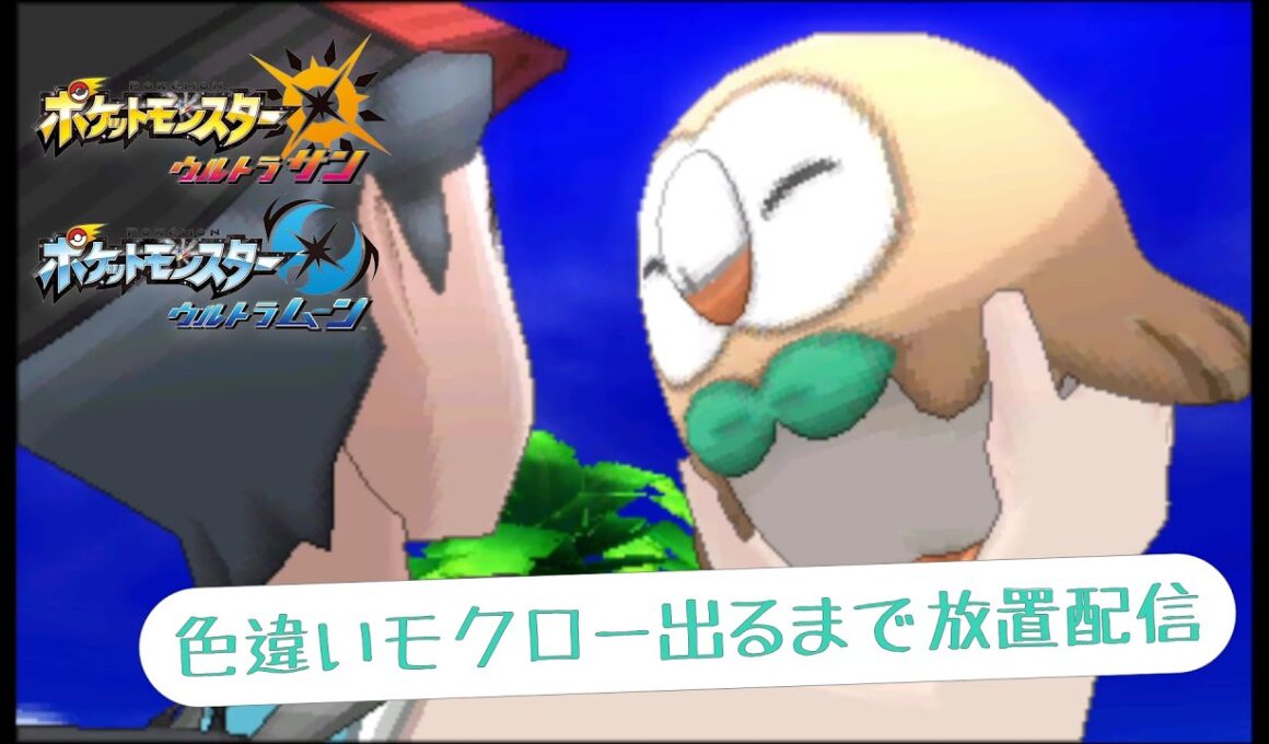 【3DS】2匹目の色違いモクローが出るまで放置するだけの放送（コメント返しできません）【ポケモンUSUM】