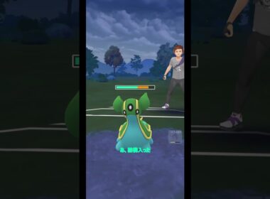 ジャングルカップや～る #ポケモンgo #ポケモン #pokémon  #pokemongo