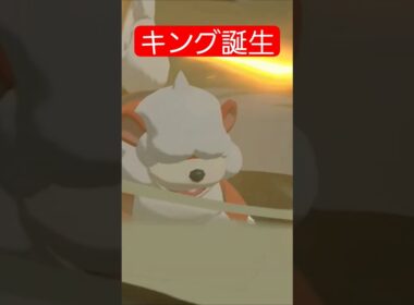 キングの子どもヒスイガーディ進化！ #ポケモンレジェンズアルセウス #ポケモンレジェンズza