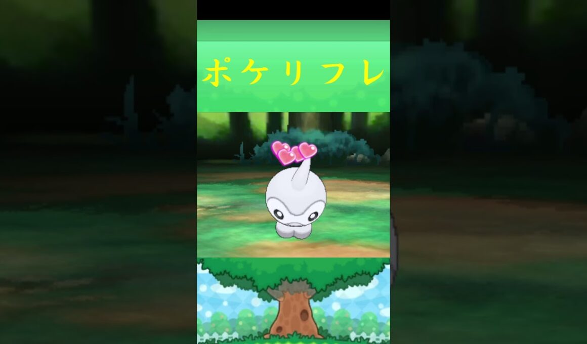 ポワルン*ポケモン ポケリフレ ポケパルレ #ポケモン #Pokemon  #3DS #nintendoswitch #ポケモンsv #ポケモン #キャンプ #サンドイッチ #ピクニック