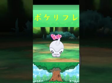 ポワルン*ポケモン ポケリフレ ポケパルレ #ポケモン #Pokemon  #3DS #nintendoswitch #ポケモンsv #ポケモン #キャンプ #サンドイッチ #ピクニック