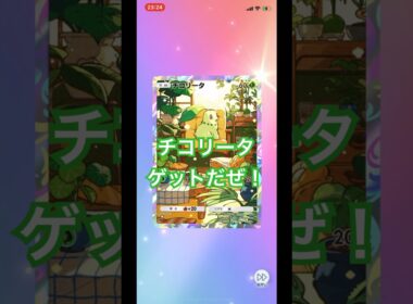 【開封動画】チコリータ #ポケカ開封動画 #ポケモンカード #ポケポケ #ポケモン #ポケカ